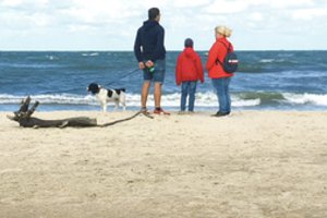 Pasakė, ką galvoja apie tuos, kurie tempia savo augintinį į visus paplūdimius, kai yra skirtų šunims