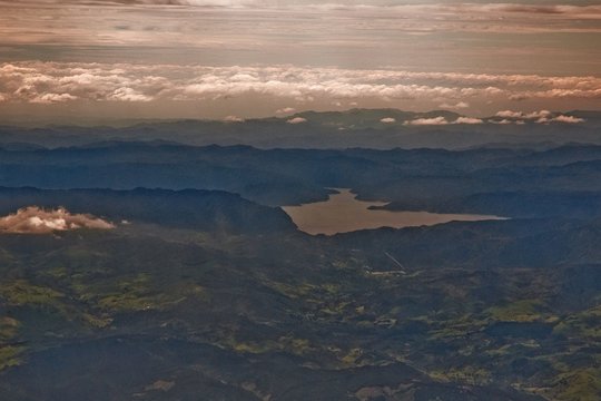 Kuo ypatingas „sudegusio penio“ miškas?