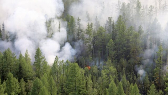 Ugnis nenustoja plisti: Rusijos Sibiro miestus dusina miškų gaisrų dūmai