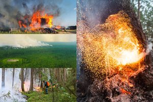 Tragiška padėtis Rusijoje: miškų gaisrų liepsnos artėja prie namų, dūsta Sibiro miestų gyventojai