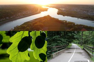 Kaune už 5,7 mln. eurų pradedama tvarkyti Europiniu mastu saugoma teritorija – Ąžuolyno parkas