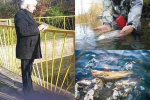 Anykštėnas turi ypatingą pomėgį prie šaltinio – 15 upėtakių pašerti šviežiu faršu