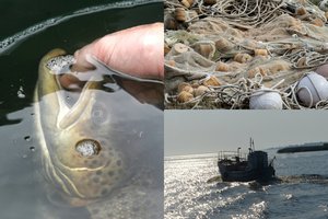 Žvejai mėgėjai kviečia į protestą: ragina apsaugoti Kuršių marias nuo verslininkų godumo