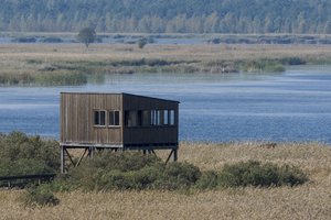 Aplinkosaugininkų organizacijos pasipiktino Vyriausybės sprendimu: Žuvinte įteisintas rezervato niokojimas