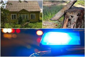 Prabilo Kėdainių r. mačete žiauriai nužudyto vyro dukra: „Jis seniai žadėjo sukapoti brolį ir paleisti jį per kaminą“