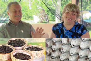 Unikalų ūkį Ignalinoje įkūrusi šeima pasauliui siūlo netikėtą užkandį