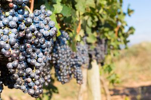 Ramūnas Gerbutavičius. Lėtas atostogų nuotykis