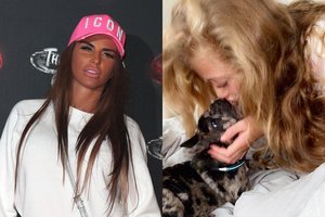 Glamūro modelio Katie Price namuose – netektis
