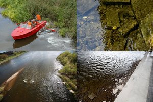 Lietuvos upėse užfiksuoti grėsmingi reiškiniai