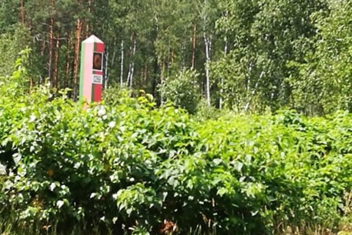 Baltarusijos siena – visai čia pat.<br> I. Vainalavičiūtės nuotr.