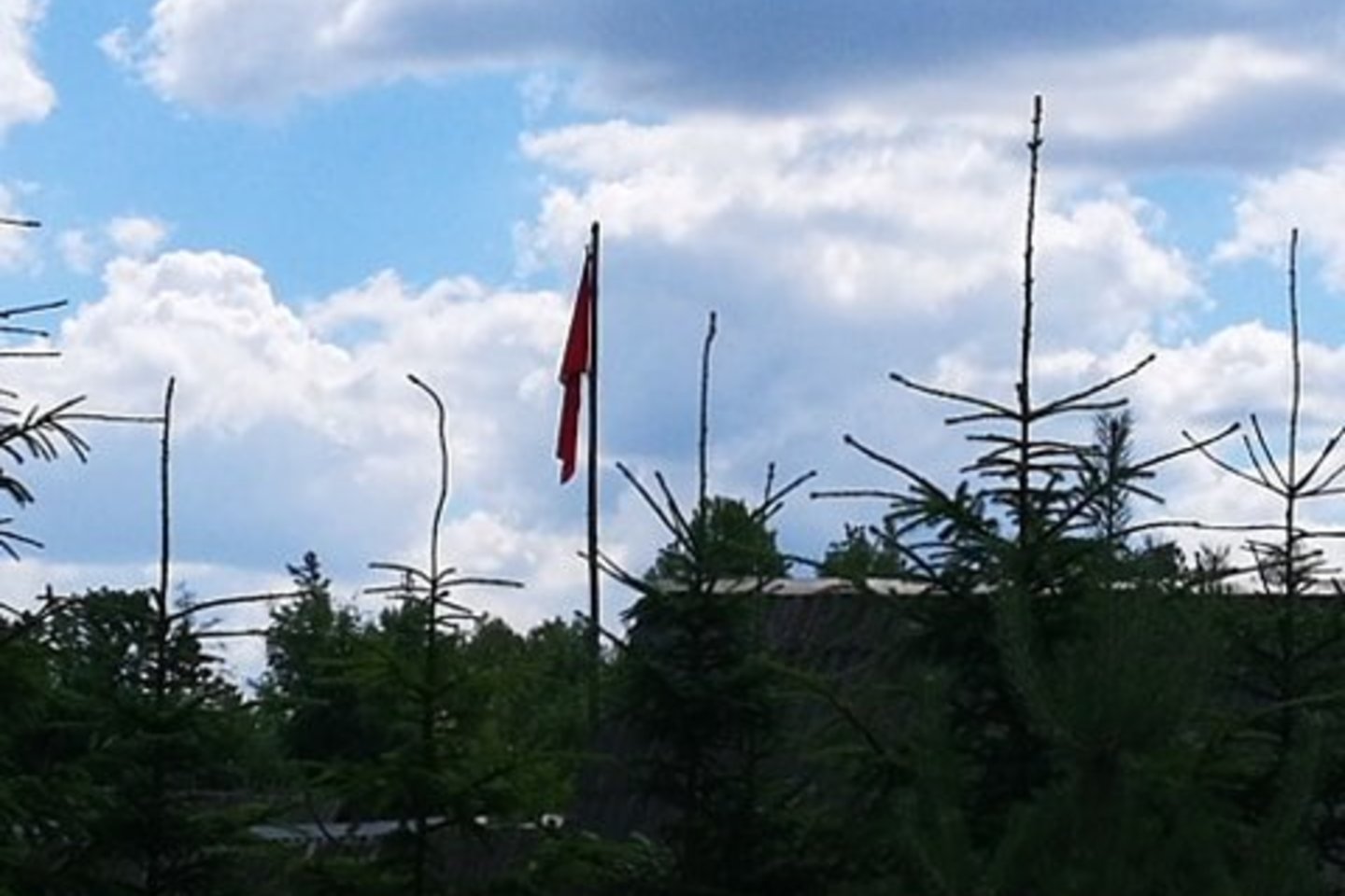Lietuviškas sodybas puošia vėliavos.<br> I. Vainalavičiūtės nuotr.