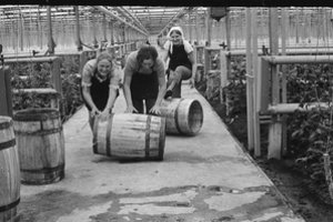 Įvairių šalių moterų darbo atspindžiai – fotografijų parodoje „Šiltnamio mūza“