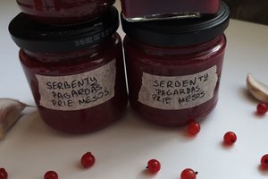 Pikantiškas raudonųjų serbentų pagardas: išbandykite – nenusivilsite