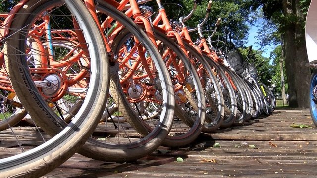 Palangoje siaučia dviračių vagys: nebesaugu ne tik viešose vietose, bet ir užrakintose patalpose