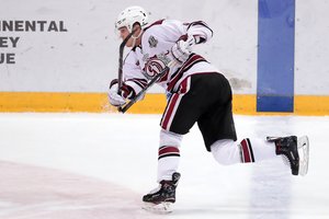 Nerijus Ališauskas palieka Rygos „Dinamo“ klubą