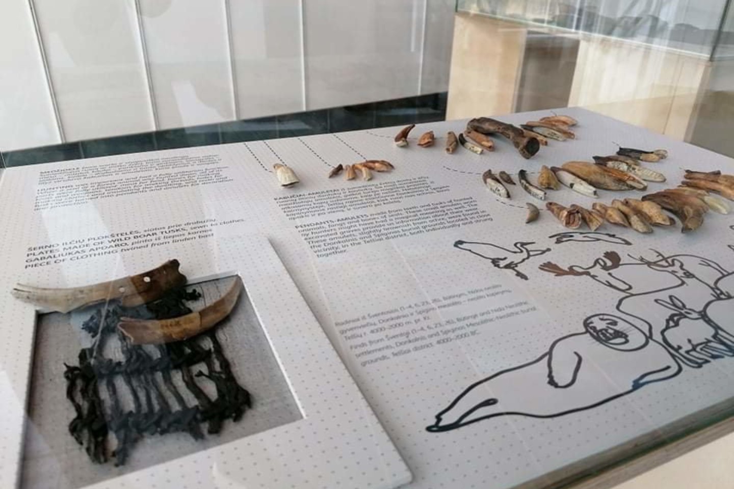 Paroda „Pajūrio akmens amžius“ įsikurs Palangos burmistro Jono Šliūpo muziejuje.<br> LNM nuotr.