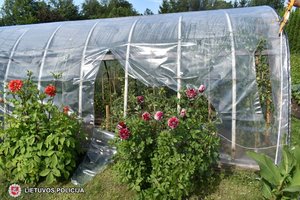 Šilalės r. suniokotas kaimas: vandalai nuo kalno stumdė traktorius