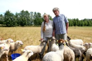 Išauklėtos avys suteikia palaimos svečiams iš miestų