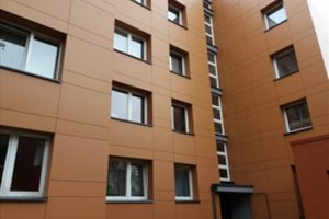 NT aukcionai vis dar masina lietuvius – tik išleidžia gerokai mažiau