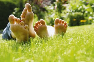 Norite žalios ir vešlios vejos – ši procedūra tiesiog privaloma