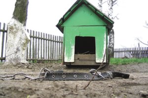 Šiurpūs nusikaltimai sekė vienas po kito – sadistų ir iškrypėlių aukomis tapo šunys