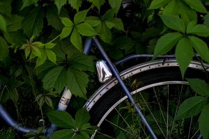 Biržuose iš automobilio išlipęs vairuotojas trenkė pro šalį važiavusiam dviratininkui