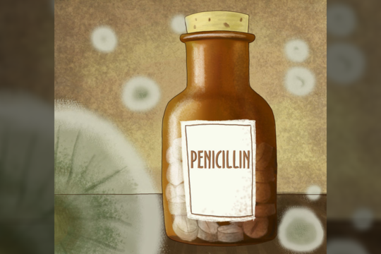 1881 m. gimė škotų biologas ir farmakologas Alexanderis Flemingas. Išgarsėjo 1928 m. išradęs peniciliną, už tai jam 1945 m. buvo paskirta Nobelio premija. Mirė 1955 m.<br>123rf nuotr.
