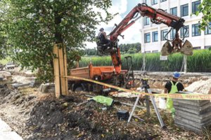 Apkapoti medžių šaknis tiesiant šaligatvius ar dviračių takus jau tapo įprasta