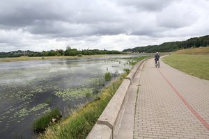 Siūlo drausti žvejoti lašišas dar dviejose Nemuno atkarpose