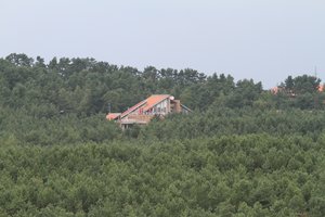 Neringos savivaldybė inicijuoja antrąjį Urbo kalno tvarkymo darbų etapą 