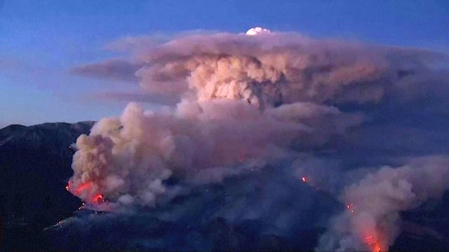 Kalifornijoje siaučia nevaldomas miško gaisras: evakuota kone 8 tūkst. gyventojų