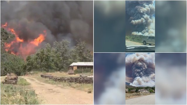 Kaliforniją siaubiant miško gaisrui pradėta evakuacija: artėjančias liepsnas žmonės stebi iš kiemų 
