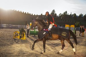 Prasidėjo Lietuvos konkūrų čempionatas: pagrindinėje rungtyje – daugkartinio čempiono triumfas