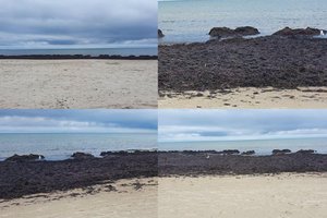 Poilsiautoja nustėro pamačiusi, kas dedasi Šventosios paplūdimyje: vaizdas ir kvapas – ne koks