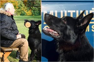 Kinologas papasakojo, kaip išspręsti problemas, su kuriomis susiduria kiekvienas šuns šeimininkas