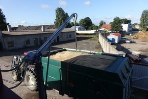 Javapjūtė vėluoja, bet pirmieji grūdai jau keliauja į girnas