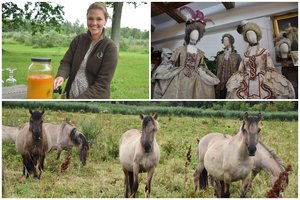 Žiemgalos turtai: laukiniai arkliai, mada ir jos istorija