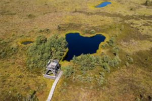 Paslaptinga vieta Šilutės rajone – pažintinis takas, dėl unikalumo priskiriamas prie pasaulio lopšių