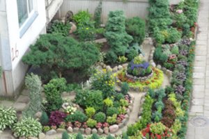 Kuo daugiau komplimentų, tuo vilnietė labiau puoselėja gėlyną šalia daugiabučio