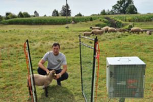 Bijai vilko? Apsiginti padės europinė parama