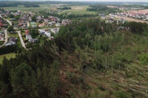Jau sutvarkė audros „Laura“ nusiaubtus miškus: neteko apie 90 futbolo aikščių miško masyvo