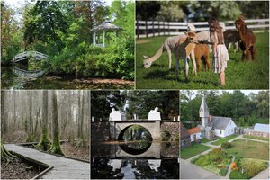 14 vietų Saulės žemėje – Šiaulių krašte, kurias aplankę, sugrįšite ir vasarą, ir žiemą