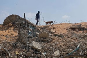 Beirute gelbėtojai naršo sprogimo zoną, sulaikyti pirmieji įtariamieji