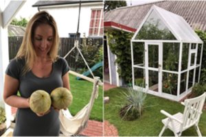 Vilnietė parodė, kaip išnaudoja kiekvieną savo 12 kv. m ploto daržo centimetrą