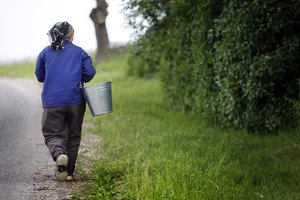 Iš pataisų dėl vandens – nauda tik ūkininkams