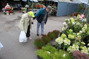 Atradome prekių, kurių kainos šiuo metu rieda žemyn – dėl jų verta vykti į turgų