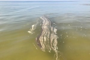 Teršalai Baltijos jūroje – lokalizuoti: atsakingiems asmenims gresia rimti nemalonumai