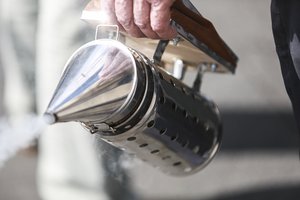 Kokias bites veisime Lietuvoje: pokalbis su ilgamečiu bitininku