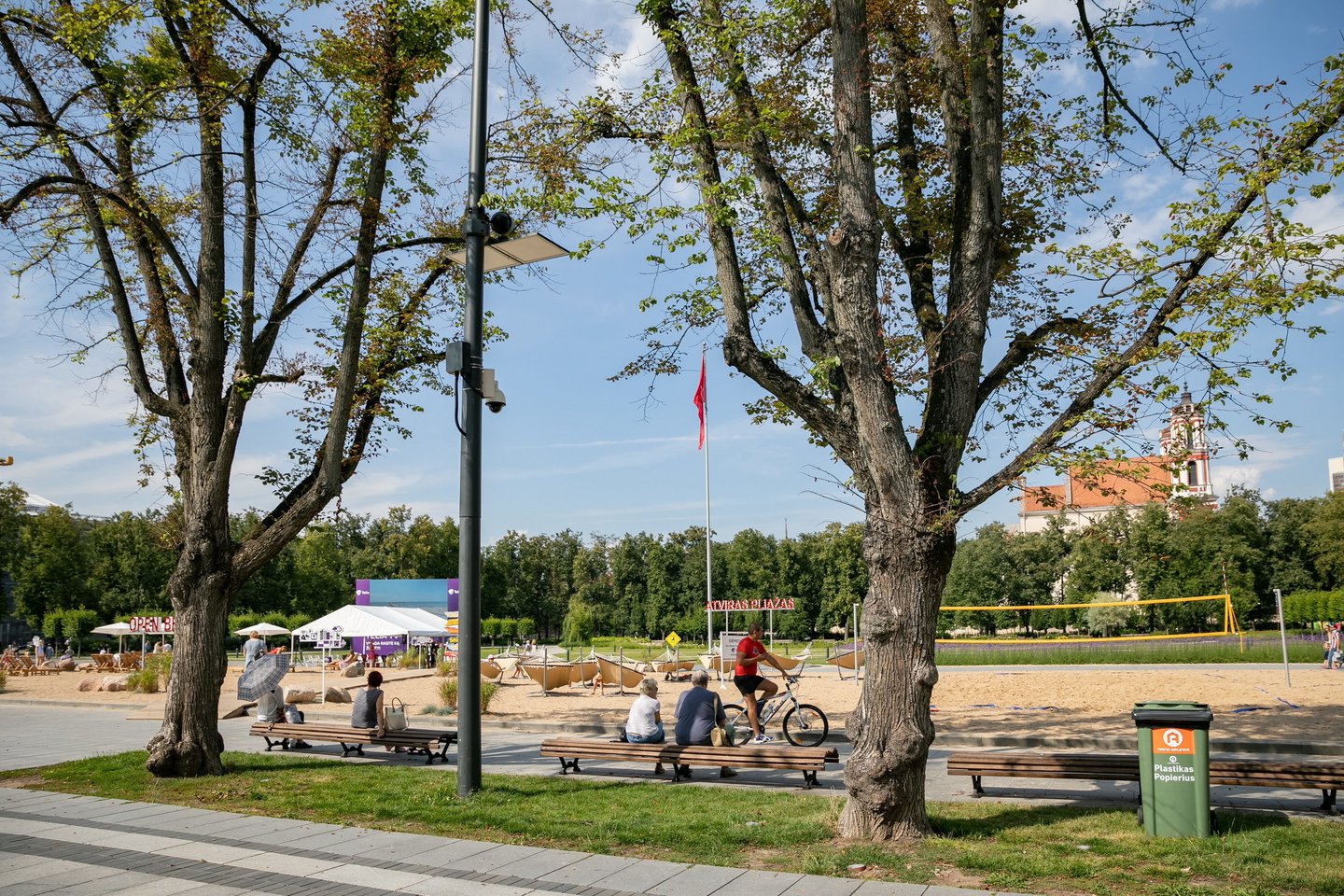 Brandaus medžio išsaugojimas – esminė pastarųjų metų nuostata planuojant Vilniaus plėtrą.<br>Vilniaus savivaldybės nuotr.