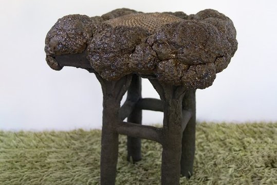 Menininkė keramikoje pritaikė genų inžinerijos principą